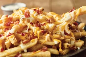 Aussie Cheese Fries