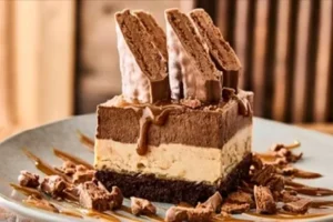 Tim Tam® Brownie Cake**